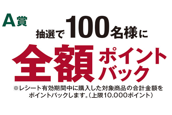 Top 花王 キリングループ カインズ共同企画 年末年始生活応援キャンペーン