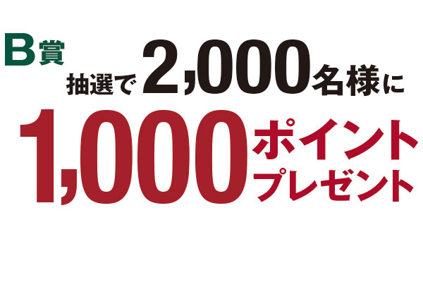 Top 花王 キリングループ カインズ共同企画 年末年始生活応援キャンペーン